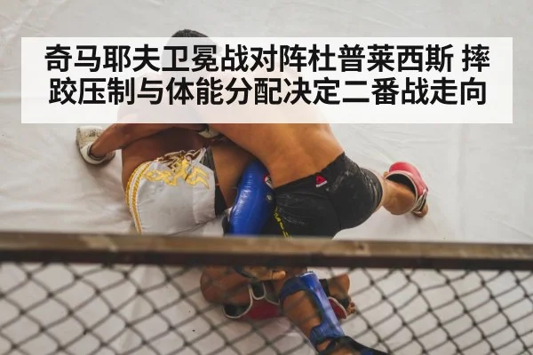 MMA wrestling takedown octagon